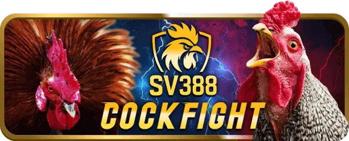 Sòng bạc trực tuyến Vin777